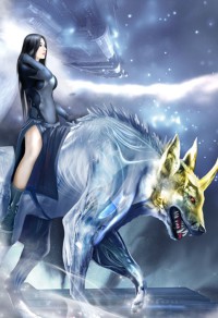 你看见我的女主了么？[穿书]